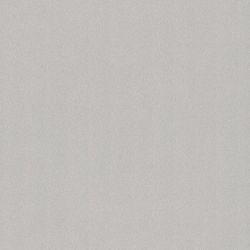 0328 Brushed Aluminium