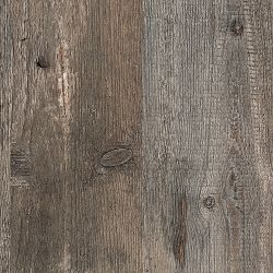 0419 Pinero Pine