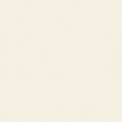 0733 Hygienic White