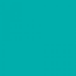 0876 Frosted Teal