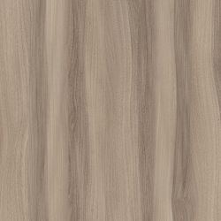 4059 Lionga Elm