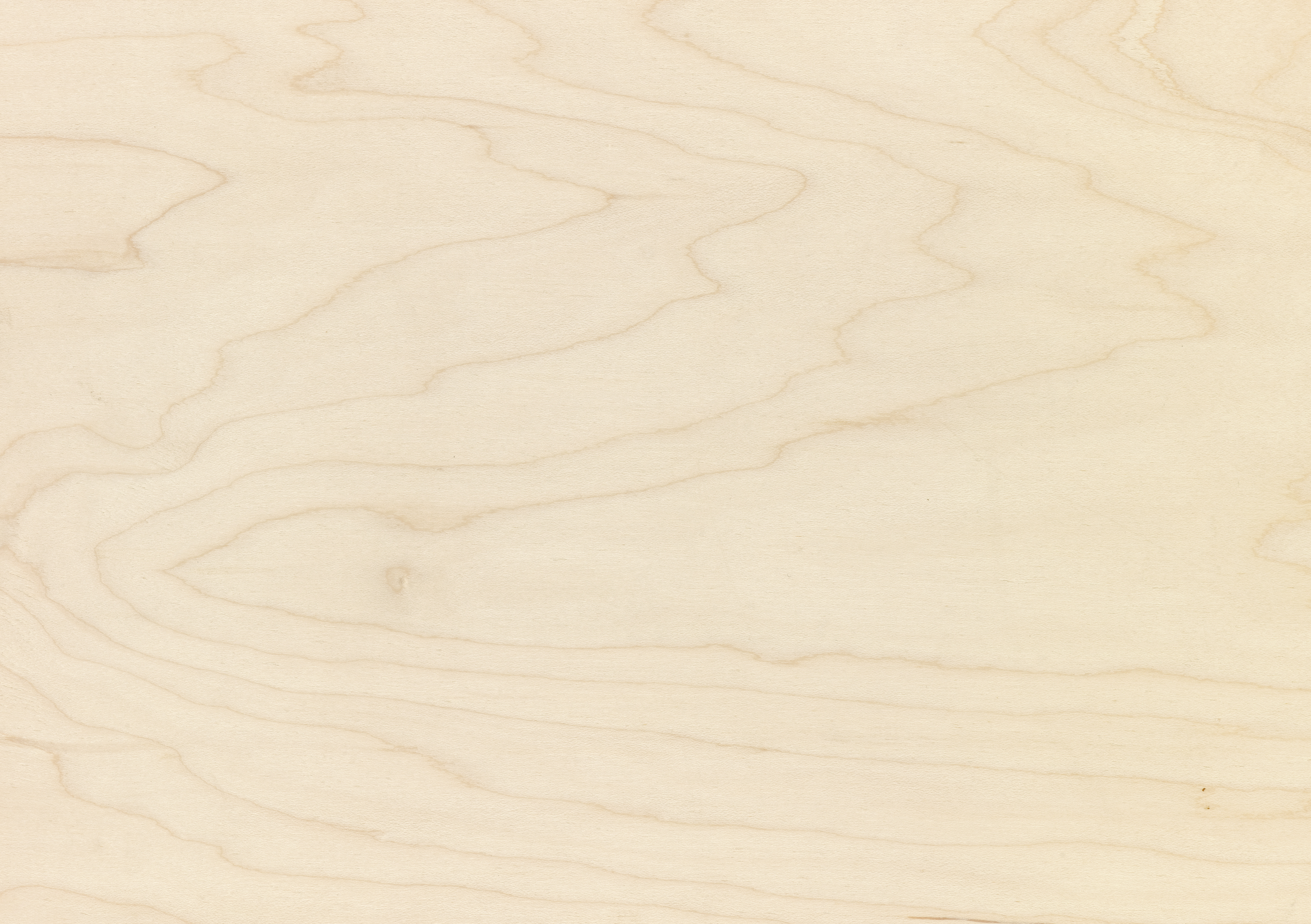 Garnica Reinforced Plywood Latham's Digital Showroom